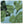 Fig leaf outdoor pillow cover, blue with green botanical leaf pattern