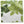 Hemp pillow cover with faded fig leaf print