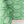 Peter Dunham + Hudson Grace Green Jaali Printed Tablecloth