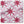 Peter Dunham Textiles Outdoor Starburst in Raspberry/Pink Pillow